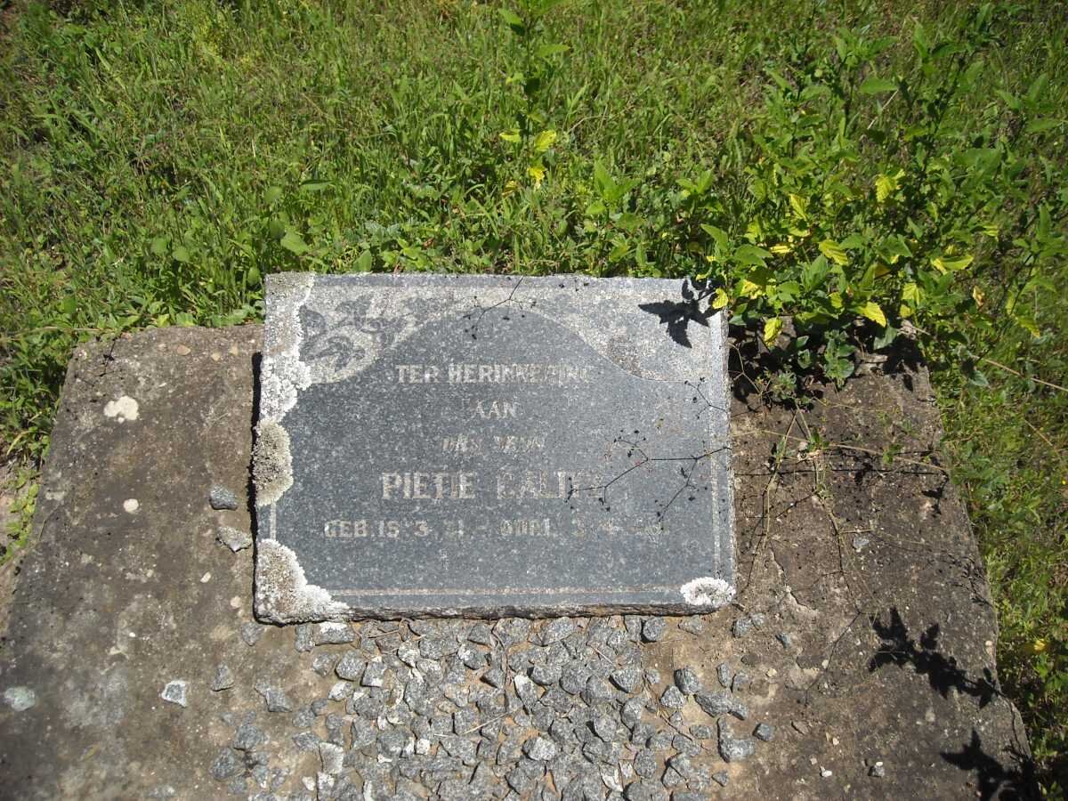 CALITZ Pietie