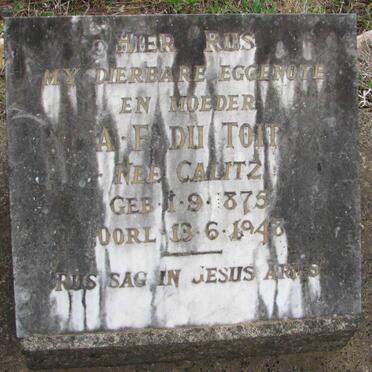 TOIT A.F., du 1875-1948