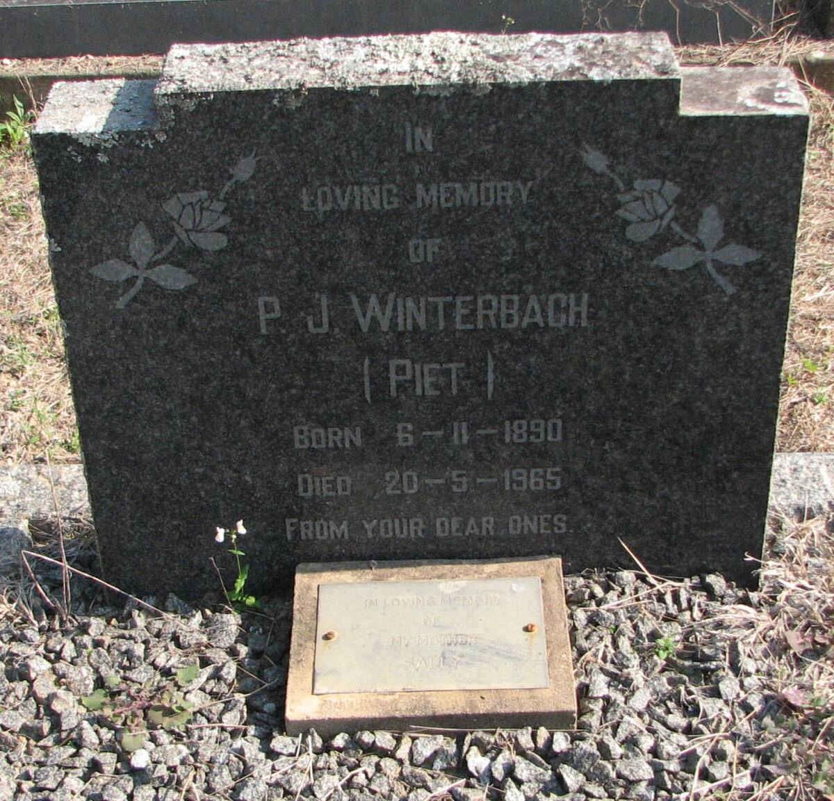 WINTERBACH P.J. 1890-1965