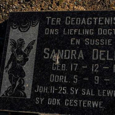 DELPORT Sandra 1963-1966