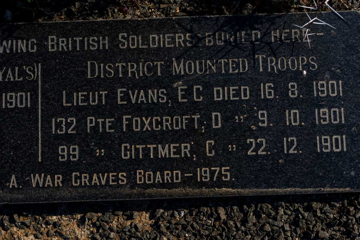 3. District Mounted Troops