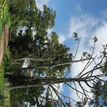 1. Komga cemetery entrance
