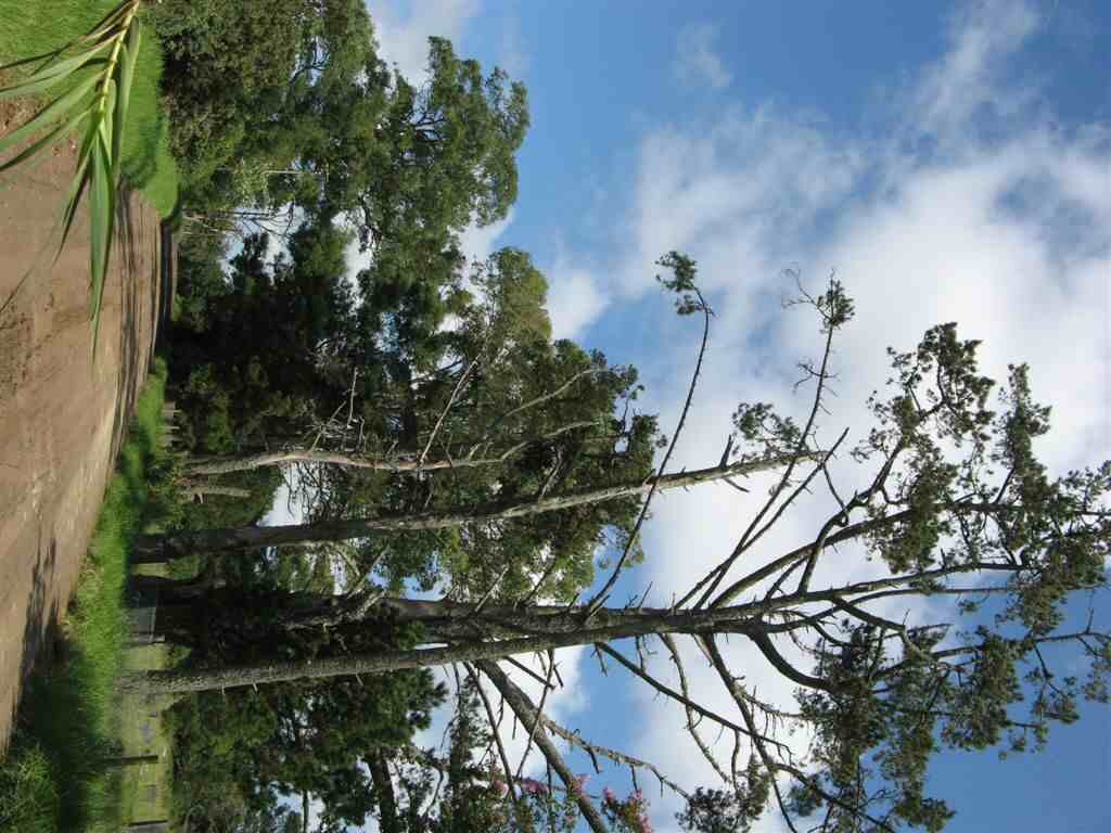 1. Komga cemetery entrance