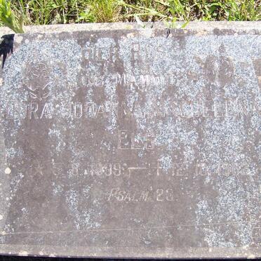 ELS Dora Johanna Magdelena 1899-1982