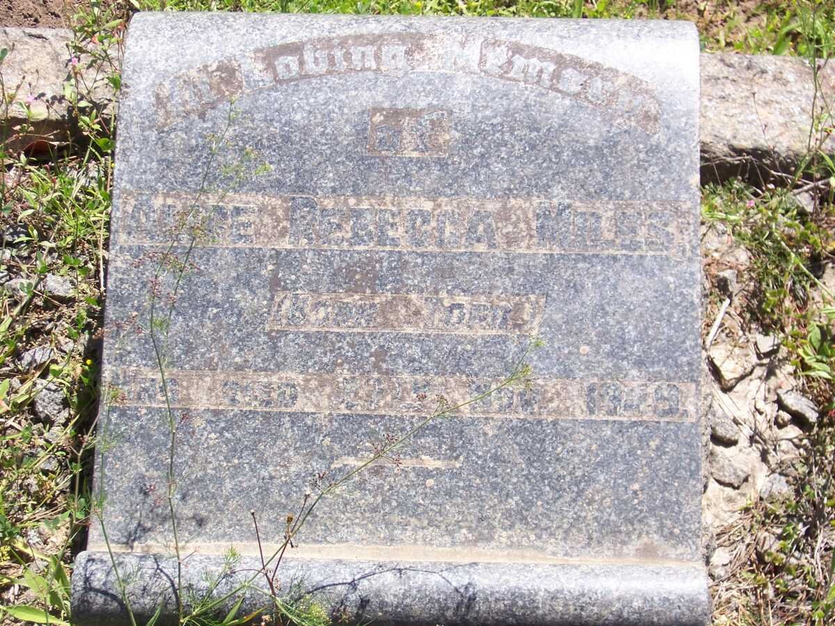 MILES Alice Rebecca nee TORR -1949