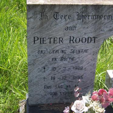 ROODT Pieter 1988-1995