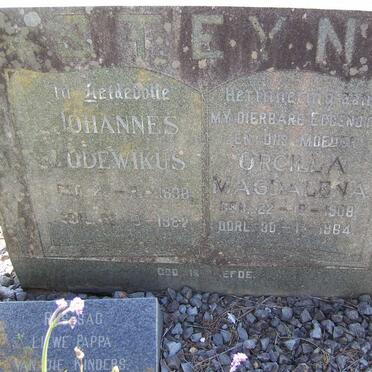 STEYN Johannes Lodewikus 1898-1982 &amp; Orcilla Magdalena 1908-1964