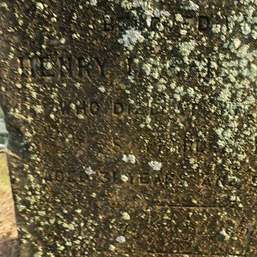 WELLS Henry Harrison -1890