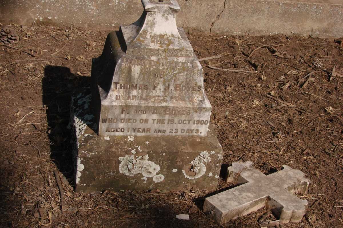 BOYES Thomas F.J. -1900