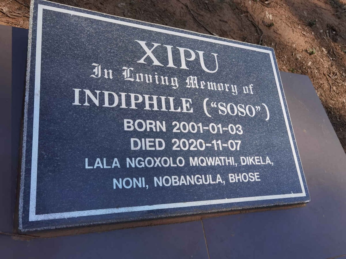 XIPU Indiphile 2001-2020