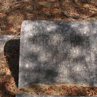 E - Surnames :: Vanne - E