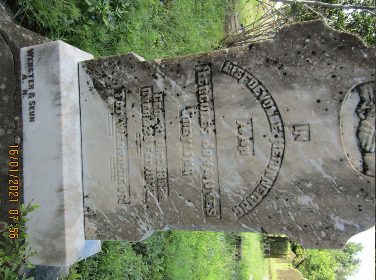 GREYLING Hercules Johannes 1853-1922