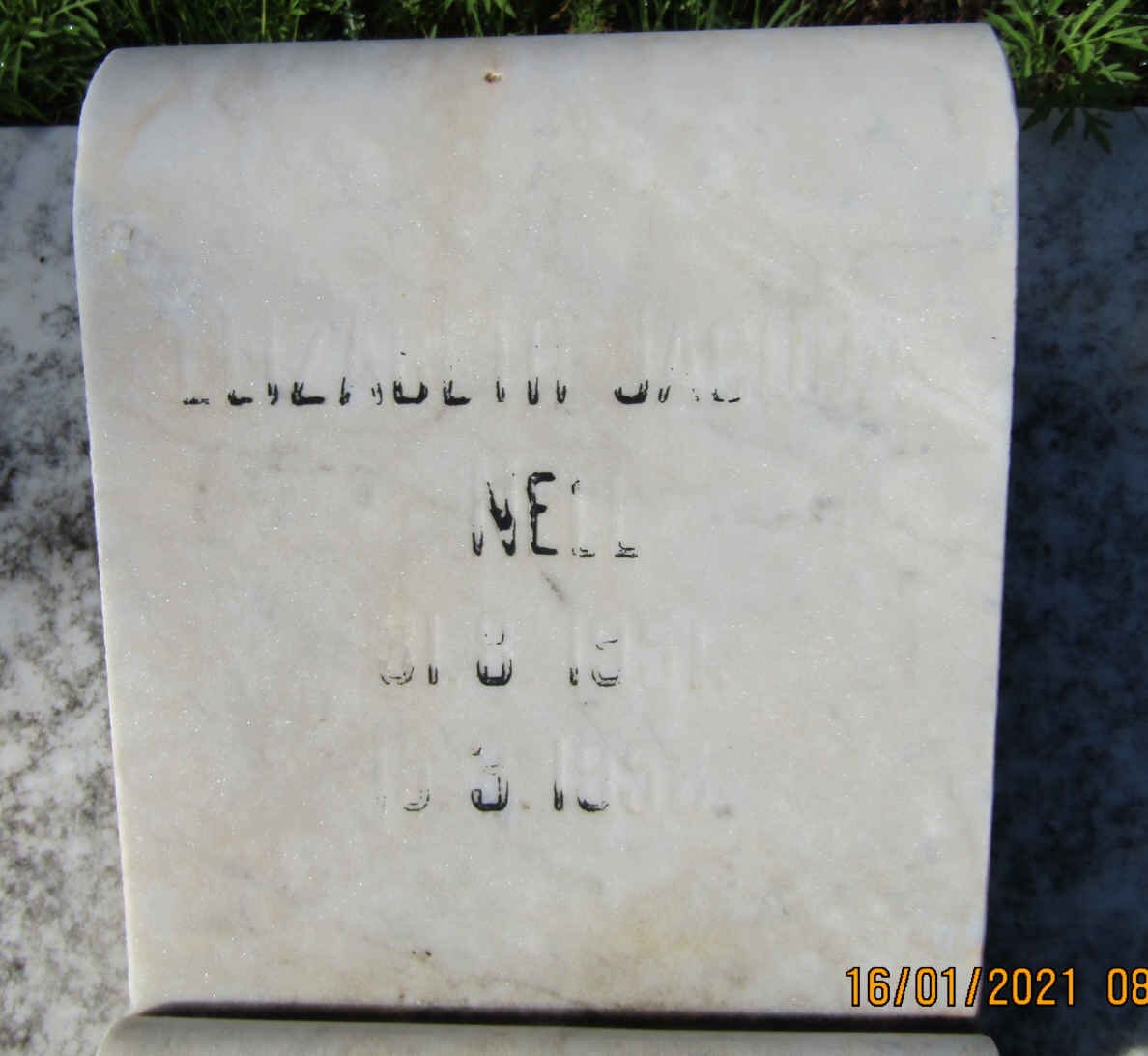 NELL Elizabeth Jacoba 1951-195?