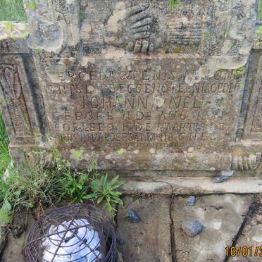 NEL Johanna 1881-1917