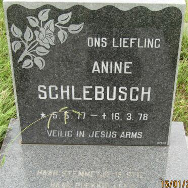 SCHLEBUSCH Anine 1977 -1978