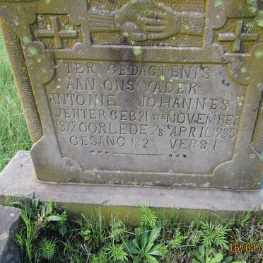 VENTER Antonie Johannes 1872-1935