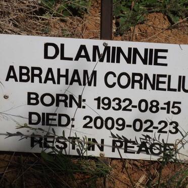 DLAMINNIE Abraham Cornelius 1932-2009