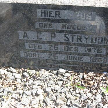 STRYDOM A.C.P. 1876-1969