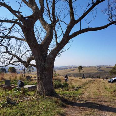 3. Oorsig / Overview