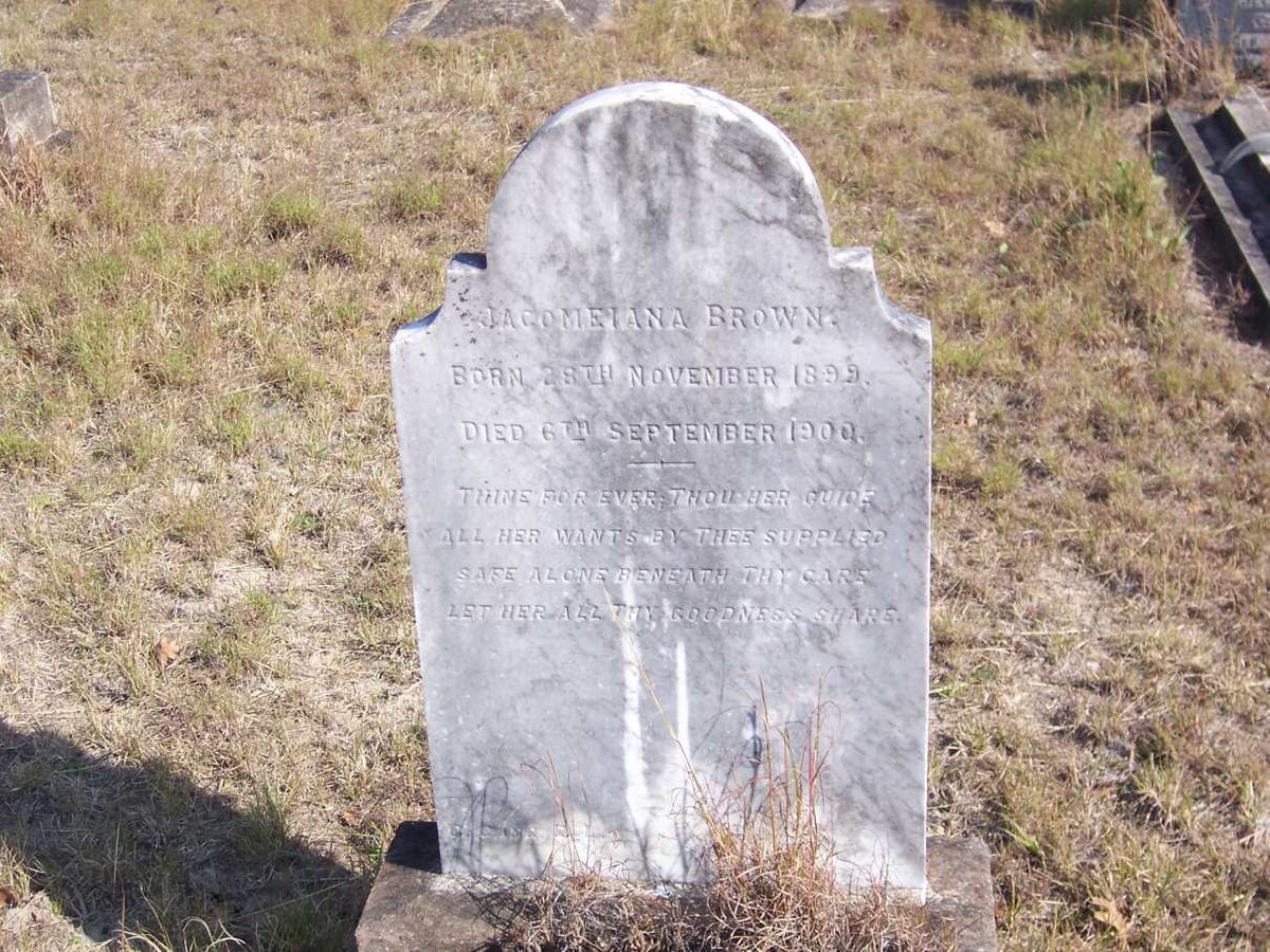 BROWN Jacomeiana 1899-1900