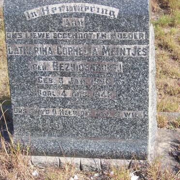 MEINTJES Catharina Cornelia nee BEZUIDENHOUT 1900-1949