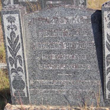 BOTTCHER Johann Julius Ferdinand 1869-1949