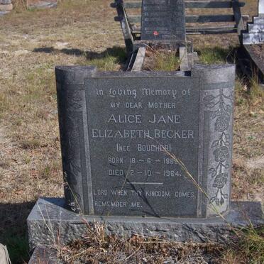 BECKER Alice Jane Elizabeth nee BOUCHER 1882-1964