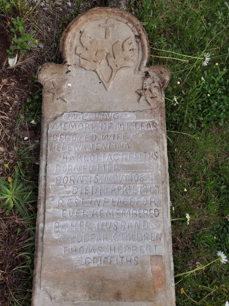 GRIFFITHS Hellna Jenlina Charlotta nee PUTTER 1908-1947