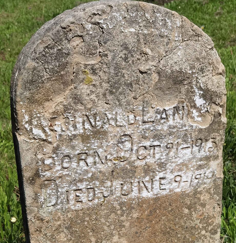 LANGLEY Reginald 1913-1919