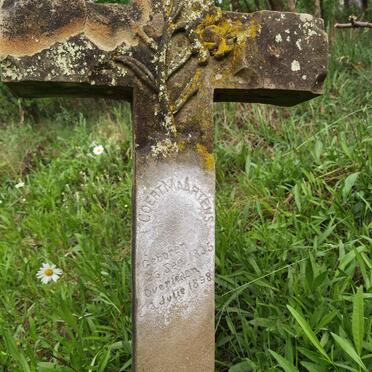 MAARTENS Coert 1835-1898