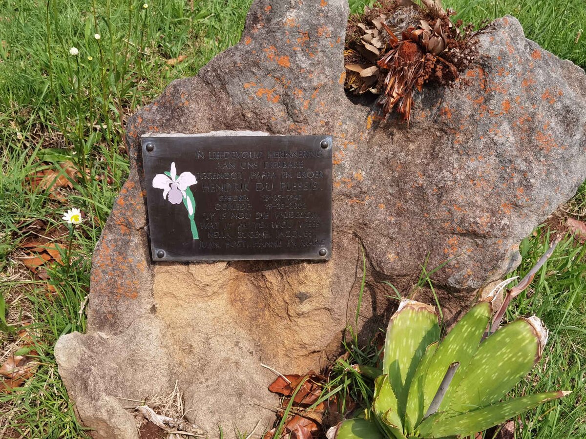 PLESSIS Hendrik, du 1947-2002