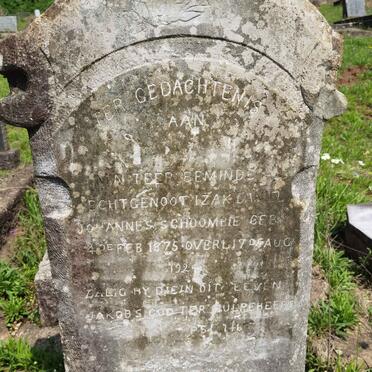 SCHOOMBIE Izak Daniel Johannes 1875-1924