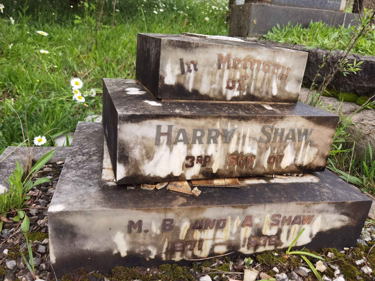 SHAW Harry 1871-1936