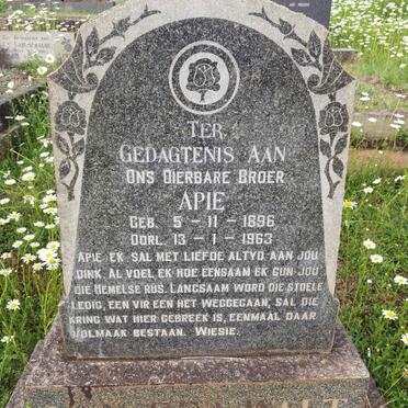 WALT Apie, van der 1896-1963