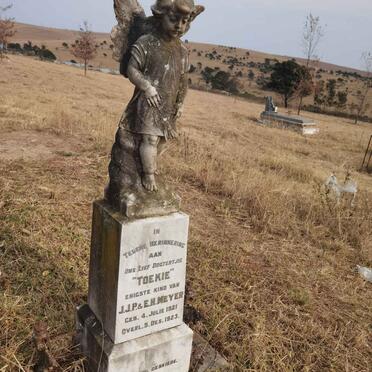 MEYER Toekie 1921-1923