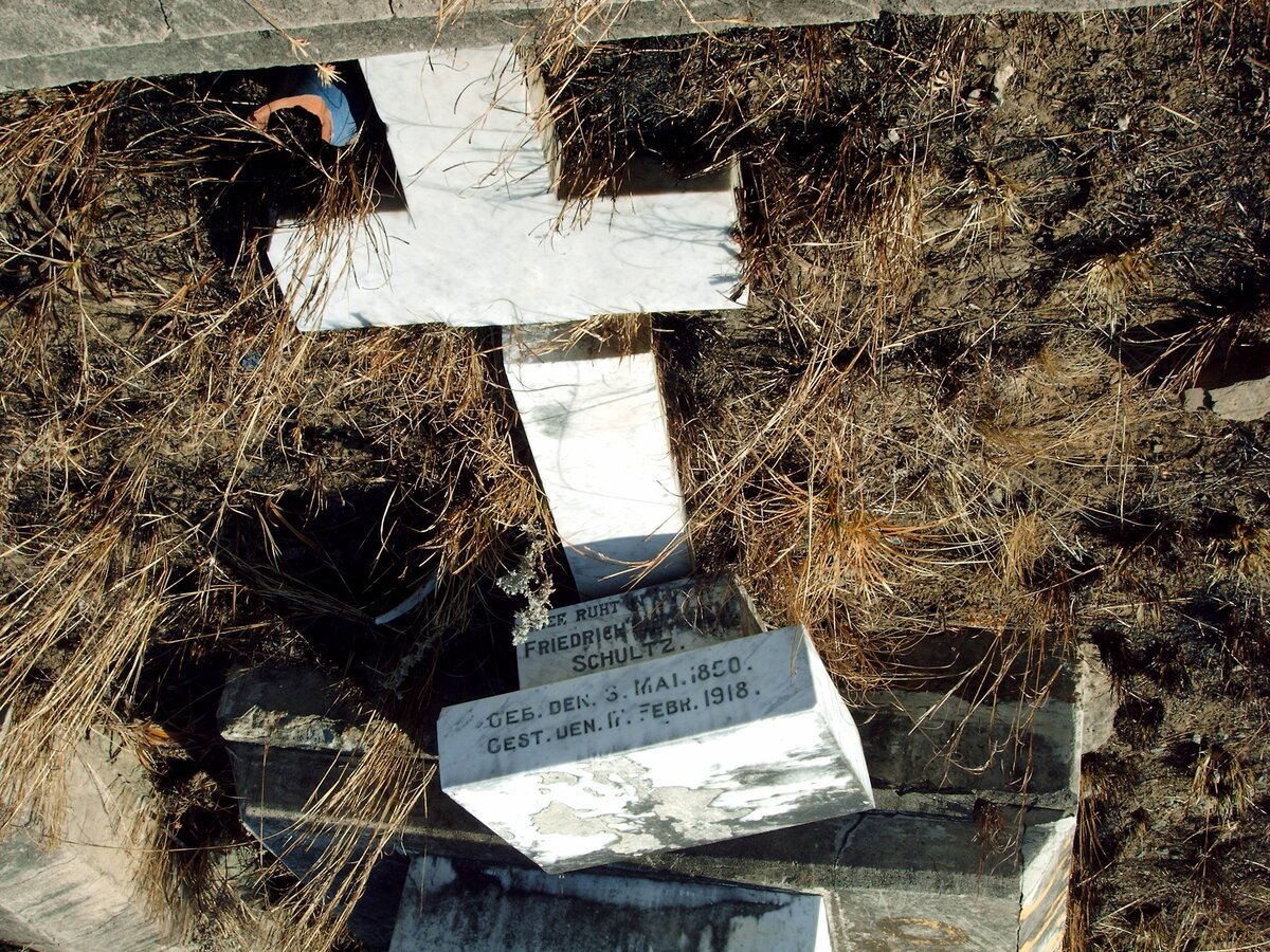 SCHULTZ Friedrich Wilhelm 1850-1918