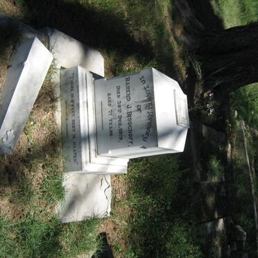 BISSCHOFF Barend J. -1919