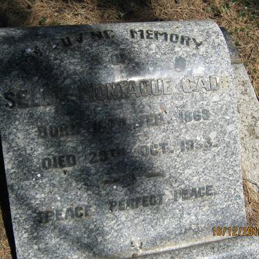 GADD Selby Montague 1869-1933