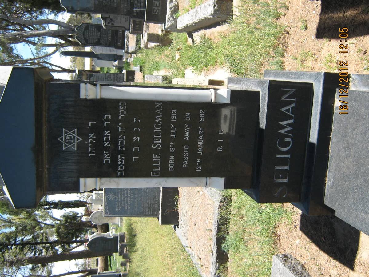 SELIGMAN Ellie 1913-1982