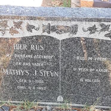 STEYN Mathys J. 1905-1952