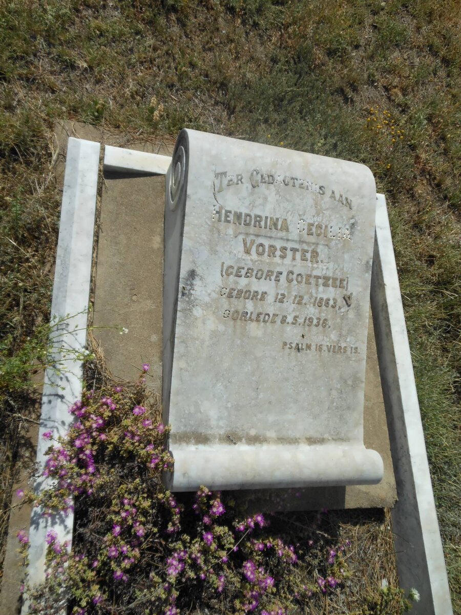 VORSTER Hendrina Cecilia nee COETZEE 1863-1936