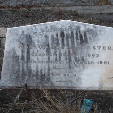 VORSTER Roelof Louis 1863-1901