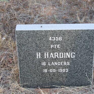 HARDING H. -1903