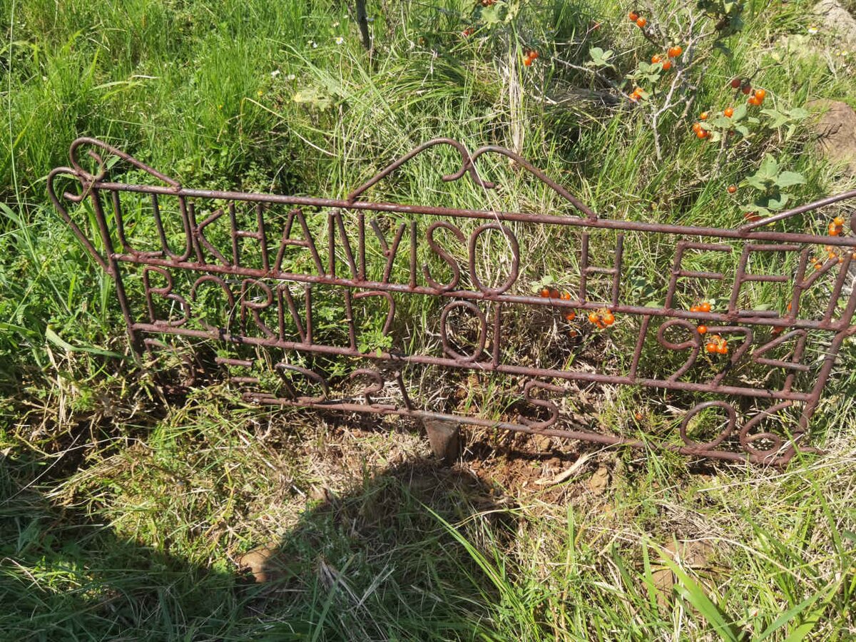 FEYI Lukhanyiso H. 1974-2006