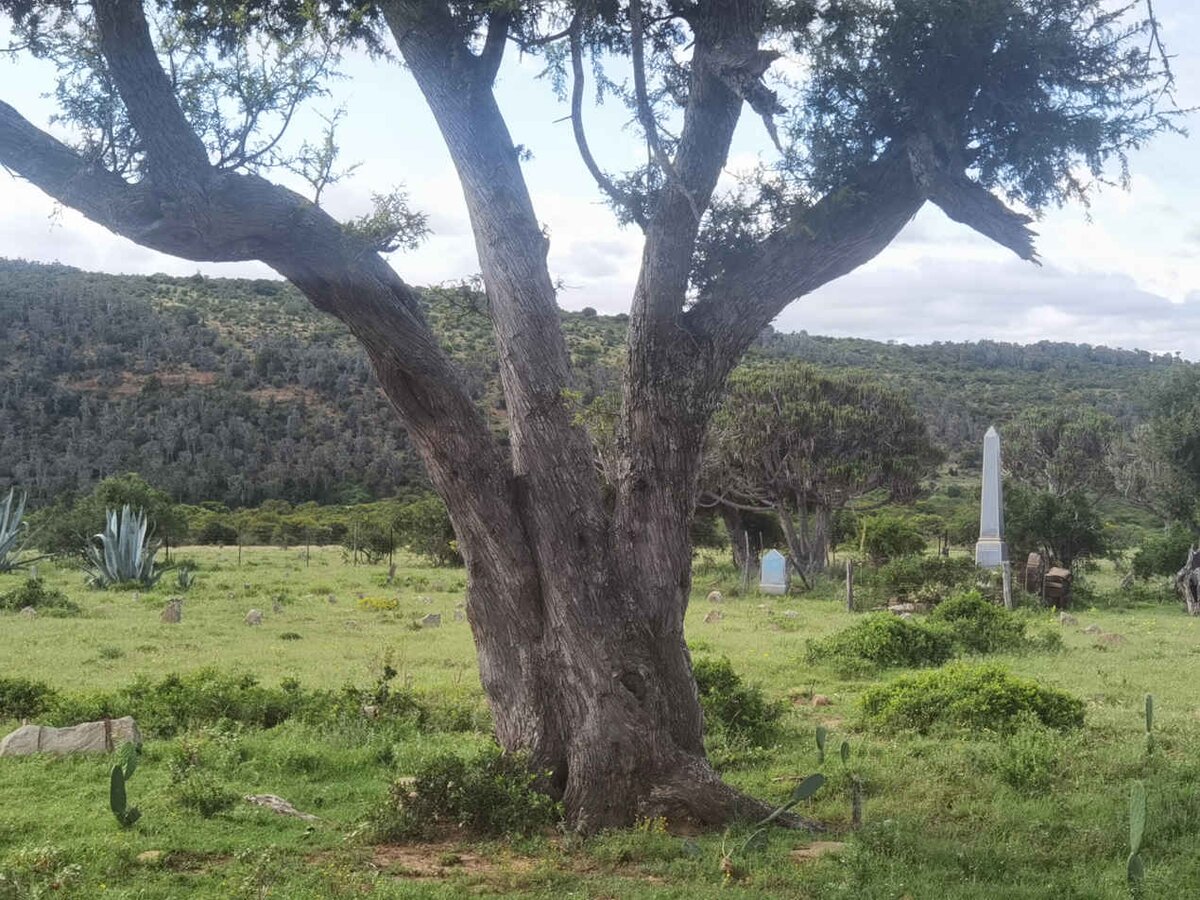 6. Overview / Oorsig