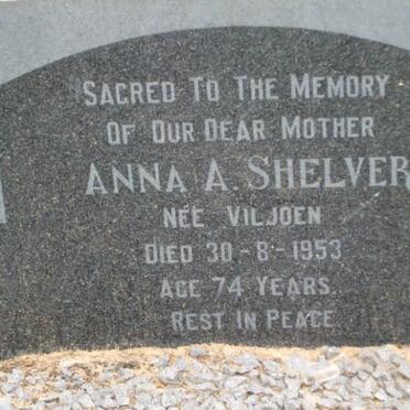 SHELVER Anna A. nee VILJOEN -1953