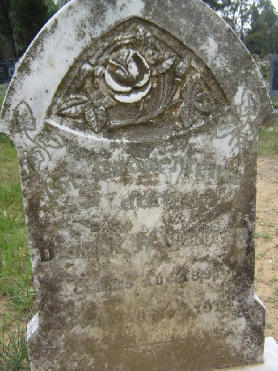 VENTER Daniel F. ?1891-1918?