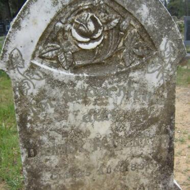 VENTER Daniel F. ?1891-1918?