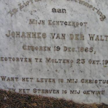 WALT Johannes, van der 1865-1918