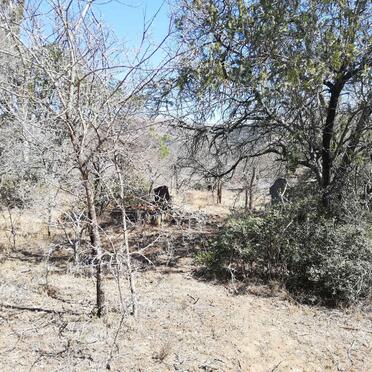 1. Overview / Oorsig